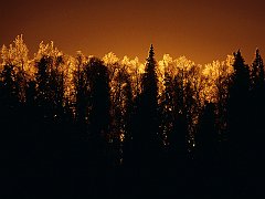 Sunset on the Kenai Riverbank, Soldotna, Alaska